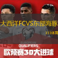 大西洋FCVS东部海豚