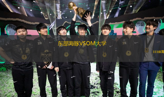 东部海豚VSOM大学